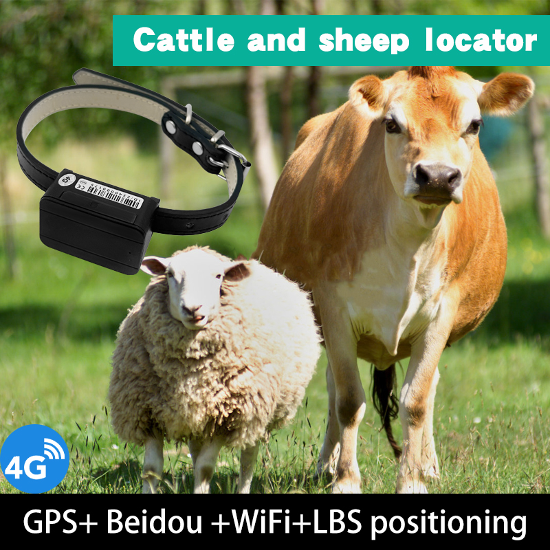 GPS Dog Collar Waterproof Animals Tracking Device